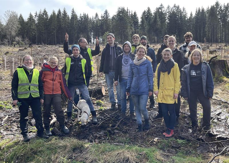 Working together in the accadis educational forest