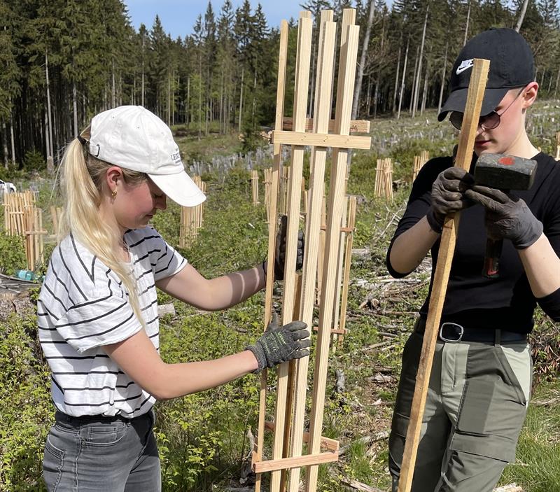 seedling-protectors-educational-forest