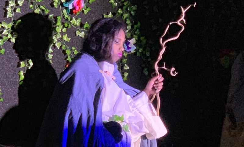 theater midsummernights dream 2019